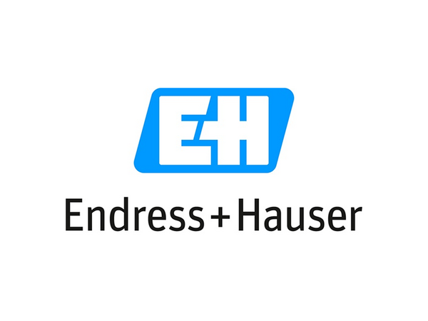 Hendress Hauser